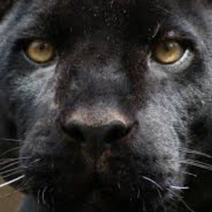 Meet your Posher, Zoe